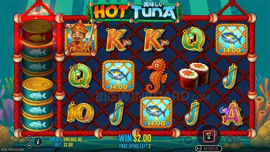 Illustration of data collection for online casino and spinplus privacy